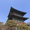 보탑사 | 충북 진천 여행 조용히 힐링하기 좋은 사찰 보탑사 다녀온 후기
