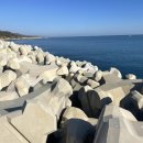 양포 방파제 화장실 이미지