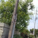 안심1리경로당 이미지