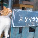 봄숲속모리 - 진주시 모덕로270번길 1 | 봄숲속모리