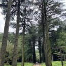 법기로 | [양산 법기수원지] 부산 근처 비오는날 가볼만한 곳 산책하기 좋은곳 방문후기