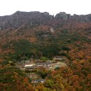 (주)고도