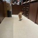 양지-3560 | 크리스마스를 곁들인 주중일기(귀차니스트의 올인원탐구, 아이패드미니7 힐링쉴드)