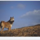 정돌이네 이미지