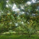 모랭농장 이미지