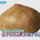 히카마(멕시코 감자)씨앗 판매! 이미지