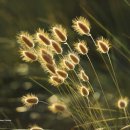 해평초등학교 이미지