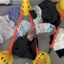 멍지중지 이미지