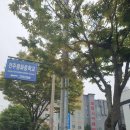 알펜시아앤코리아푸드 이미지