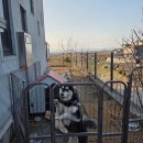 사암1리 마을회관 | 집에서 엄마가 해주시는 맛, 우동과 경양식의 조화 솔담 경양