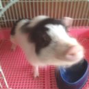 늘품자연유치원 이미지