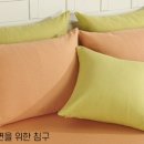 나산집 이미지