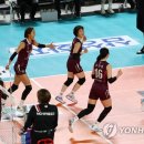 충무방역공사 이미지