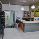 블랙캣주짓수 네이버블로그