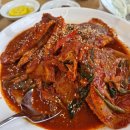 오월 | 수지 맛집 동천동 오월 식당 방문 후기