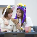 꽁냥꽁냥 이미지