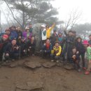 서울 청계산 매봉(582.5m) 산행 #3 이미지
