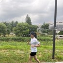 힛더트레일