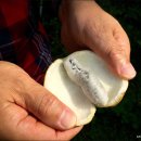 청수목장 이미지