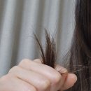 천연헤나 - 사하구 낙동대로451번길 12 | 더수자타 손상모복구 천연헤어팩 헤나트리트먼트 후기