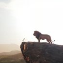 일진운수 이미지