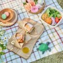 The BBs JEJU 이미지