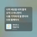 감자콘서트 | 2026 엔플라잉 콘서트 &amp;CON5 서울 첫막 후기