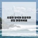 희망보청기 네이버블로그