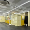 아랑유치원 | [서울] 곰밤이 강아지 유치원 체험 후기 (내돈내산)