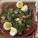 삼일웰니스(주) | 아침 식사대용 쉐이크 추천 건강한 식단 벌크업 파우치 일일하우 슬리밍플랜B