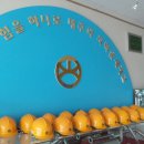 케이디아이(주)