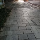 반천길 | 냥데기의 제멋대로 일상 #226(두번째 출근, 원신, 헬스장, 존슨앤존슨 인적성 검사)_[26.01.13 화요일]