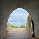 세븐일레븐 동해한섬해변점 이미지