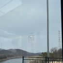 강나루캠핑야영장 이미지