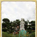 옹동초등학교 이미지