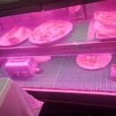 동영식육식당 이미지