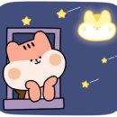 화랑한약국 이미지