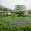 대주농장3 이미지