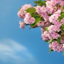 경희동의보감한의원 이미지