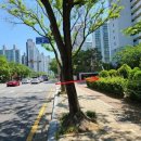 장산아파트 단지 내 이미지