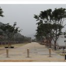 하동군다목적캠핑장 이미지