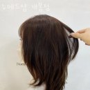 누에드샵