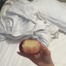 (주)자유투어 | 그라나다 알함브라궁전 자유투어 후기🏰 feat.오디오투어