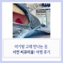고래고래 | 서천 씨큐리움 고래고래 놀이터 체험 후기, 31개월 아기와 국립해양생물자원관 + 농부의밥상 점심 추천...