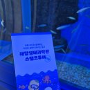 제주해양과학관 (아쿠아플라넷) | "유모차 주차 주의! 17개월 아기랑 시흥 해양생태과학관 주말 예약 및 관람 꿀팁"