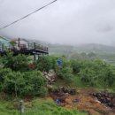 억산농장 네이버블로그