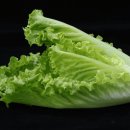로메인