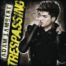 Outlaws of love - Adam lambert 이미지