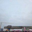 보행자전용도로 3-47 | 2026 서울마라톤 후기