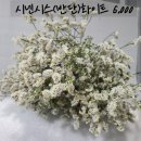 전혜숙농장 이미지